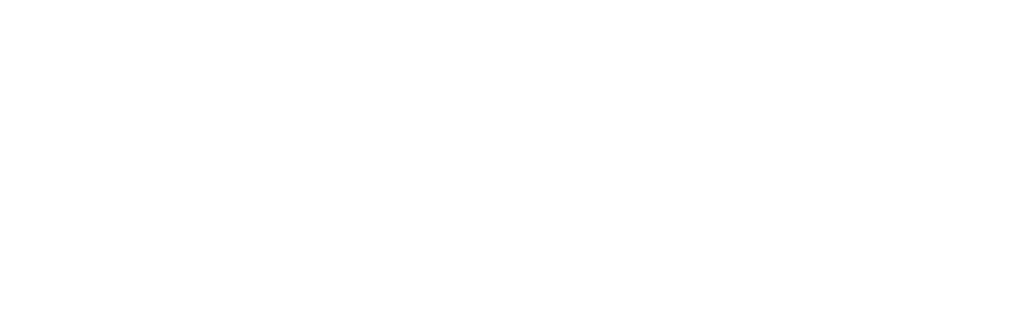 Millennial Collective