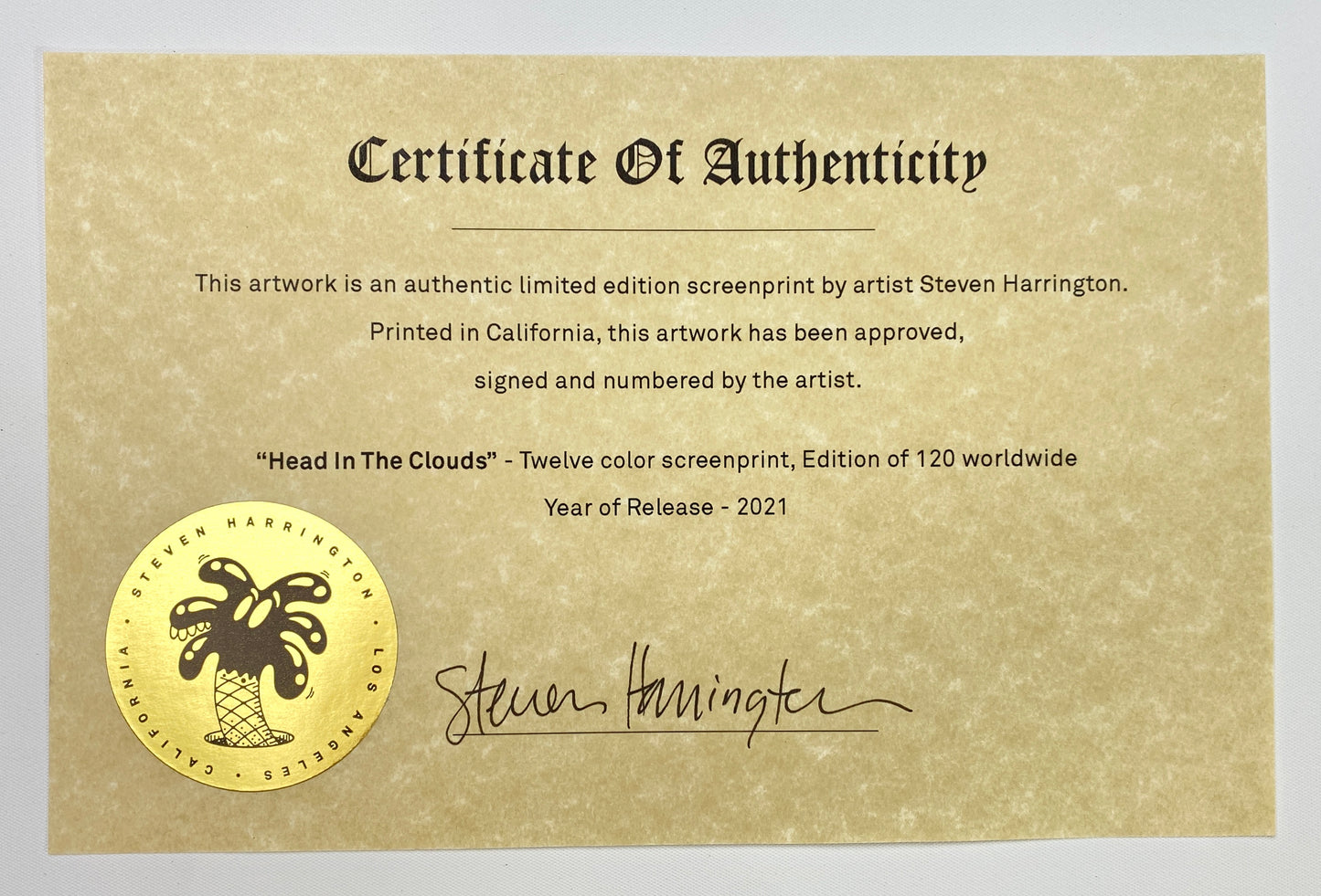 Steven Harrington - Head In The Clouds