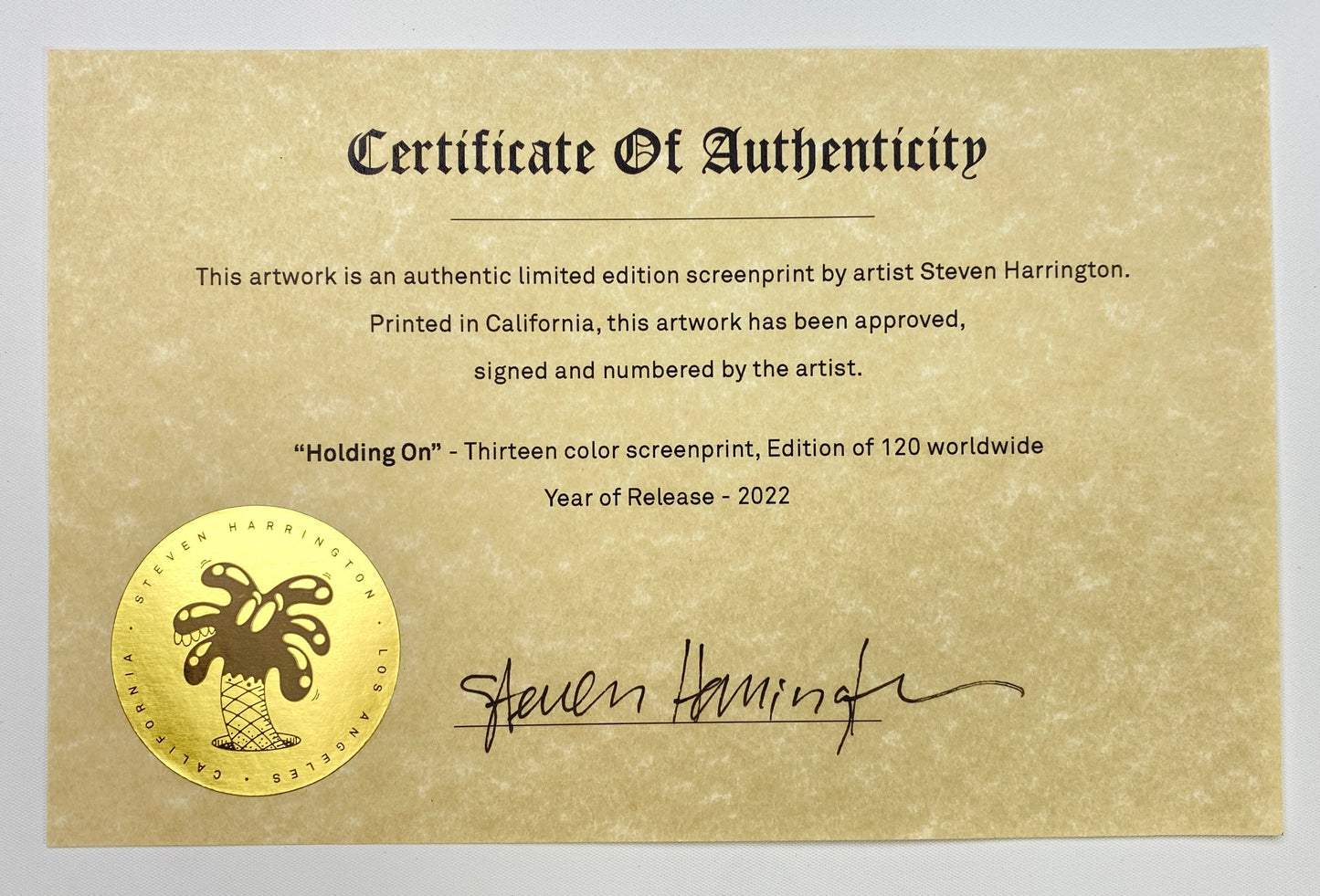 Steven Harrington - Holding On