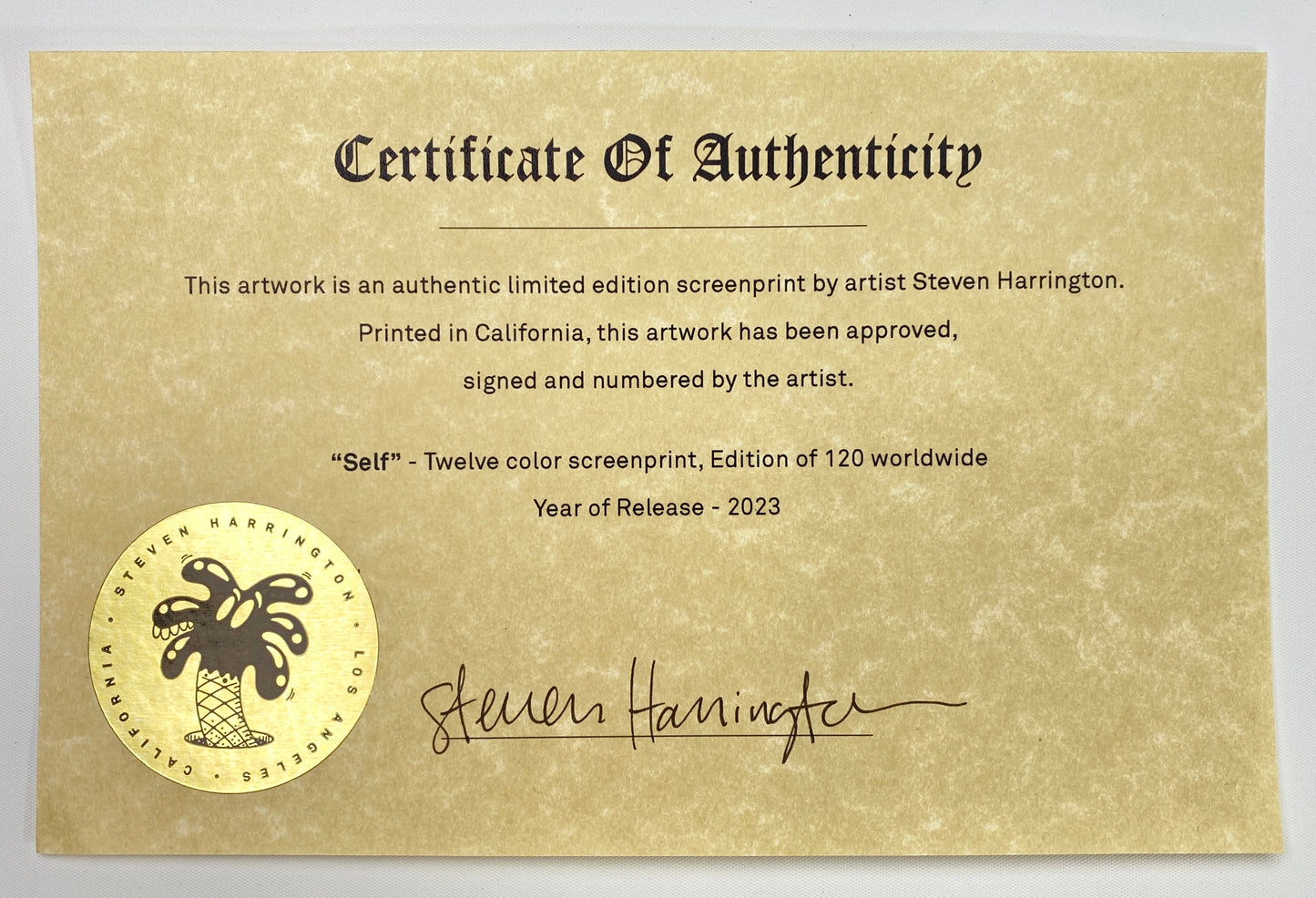 Steven Harrington - SELF